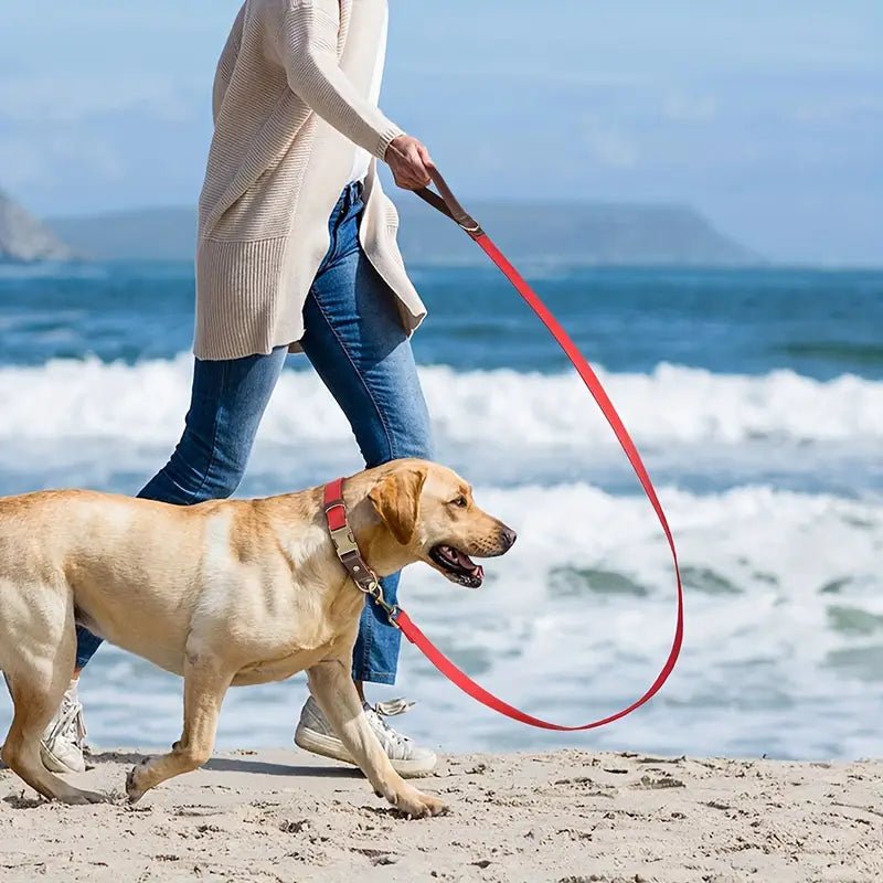 Hundehalsband aus Leder mit passender Leine – Rot & Verstellbar – Hundesets – MVM
